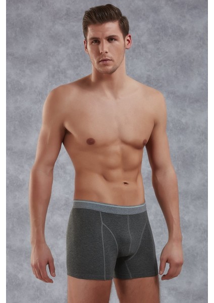 Elegant Erkek Boxer 1756
