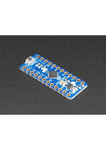 ATSAMD09 Breakout Development Board