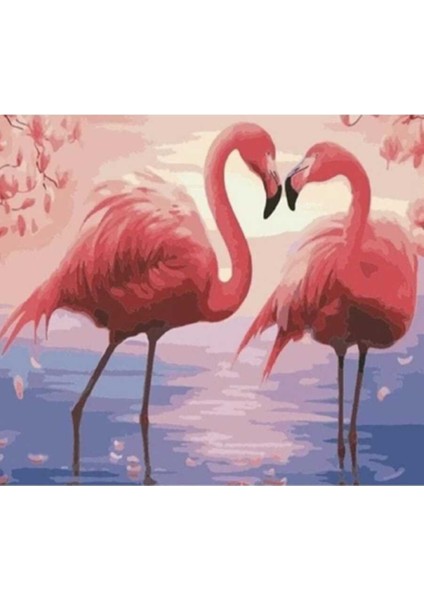 Filamingoların Aşkı Sayılarla Boyama Seti 40 x 50 cm