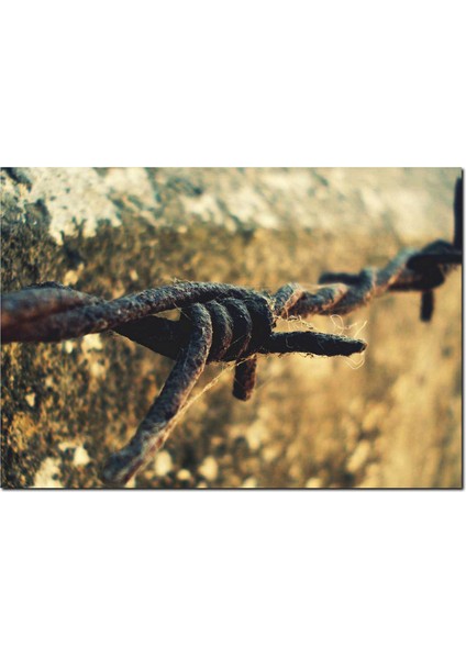 Cakatablo Ahşap Tablo Paslı Dikenli Tel Yakın Çekim