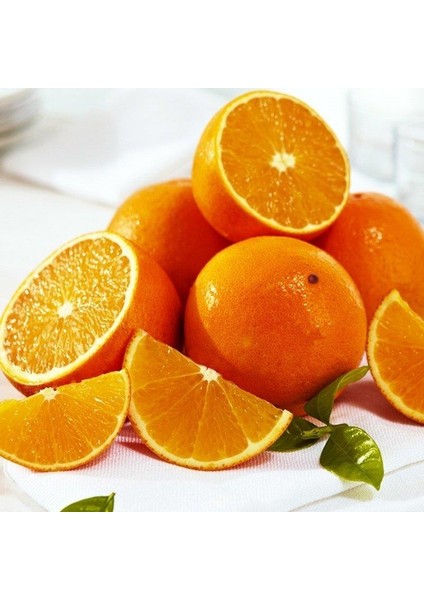 3 Yaş Aşılı Valencia Portakal Fidanı Torbada