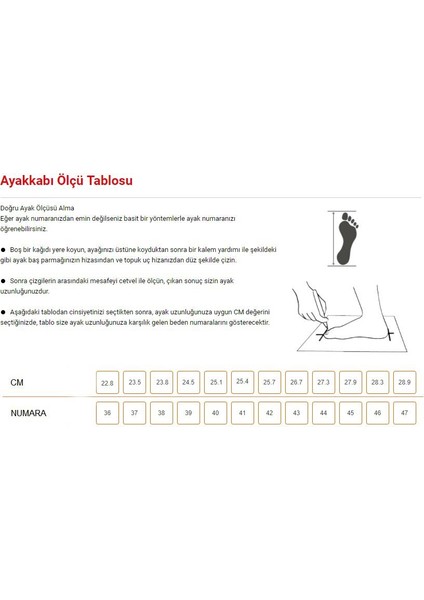 Kadın Sneaker Rahat Taban Günlük Ayakkabı fırsatları