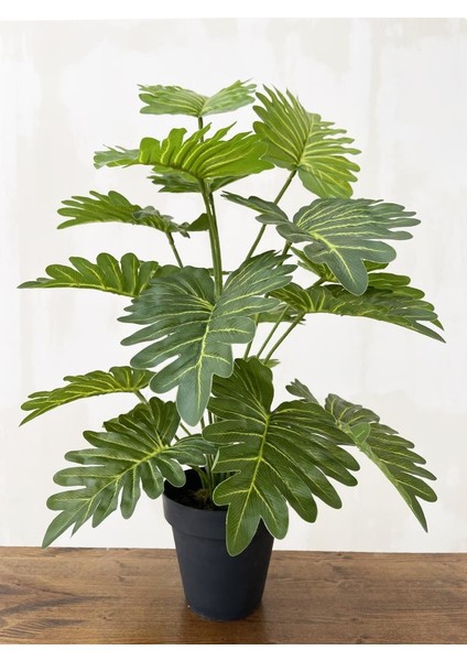 Yapay Ağaç Salon Bitkisi Syngonium 70 cm 18 Yaprak Antrasit Saksıda