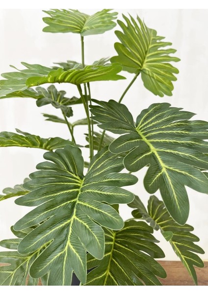 Yapay Ağaç Salon Bitkisi Syngonium 70 cm 18 Yaprak Antrasit Saksıda fiyatları