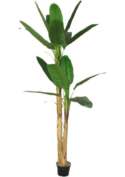 Yapay Ağaç Muz Ağacı Yapay Starliçe 220CM