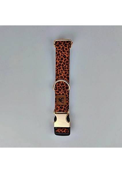 Leopard Köpek Boyun Tasması