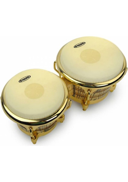 EB0709 Bongo Derisi