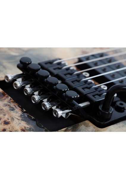 C-6 Pro FR Elektro Gitar (Charcoal Burst)