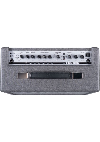 Silverline Standard 20 Watt 10 Inch Combo Amfi (Silver)
