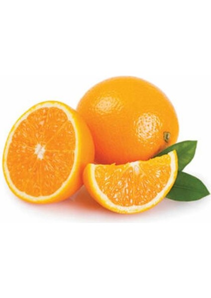 Finike Portakal 1 kg