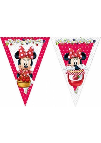 Minnie Plastik Bayrak Set 2.3m