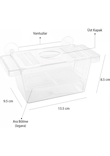 Tekli Kristal Balık Yavruluk 13,5 cm x 8,5 cm