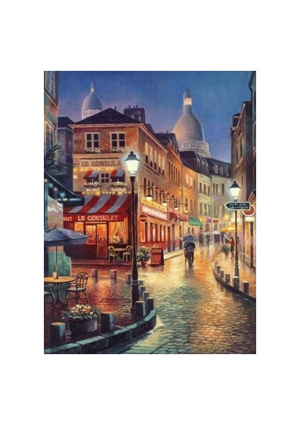 Hı Stone 5d Elmas Boncuk Taş Işleme Mozaik Goblen Kit 30X40CM YDF70699