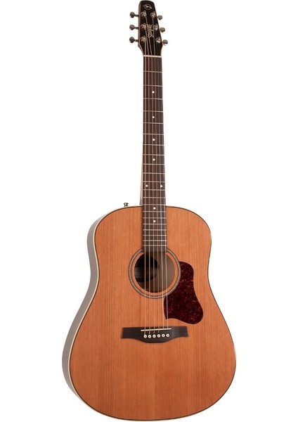 Coastline Momentum A/e Hg Elektro Akustik Gitar (Natural)