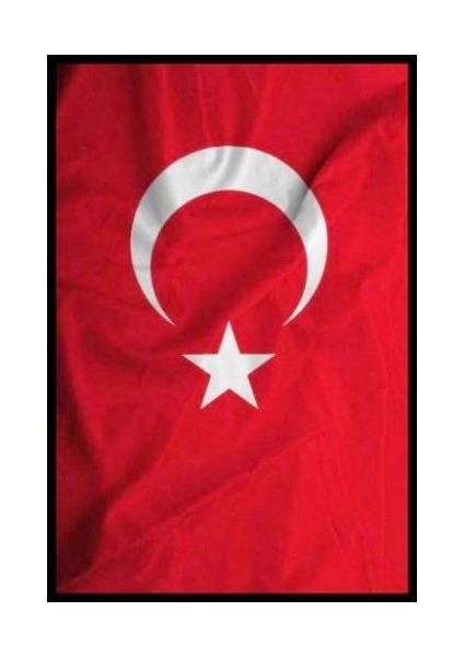 Partiyeri Türk Bayrağı 100X150 cm Buket Bayrakçılık