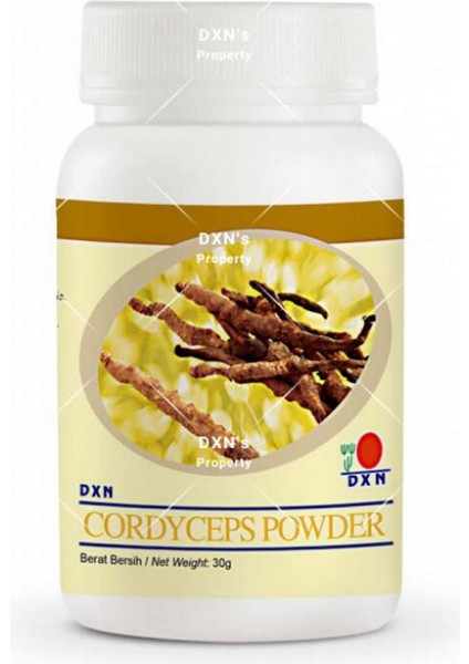 Cordyceps