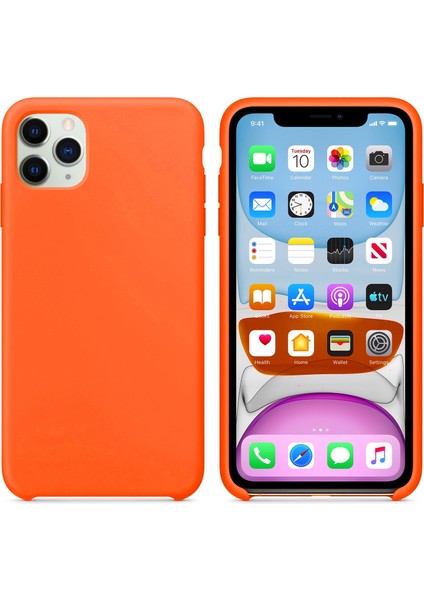 Apple iPhone 12 Pro Max (6.7'') Kılıf, Logis Liquid Lansman Silikon