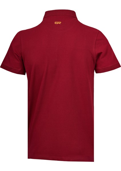 Erkek Polo Yaka T-Shirt modelleri