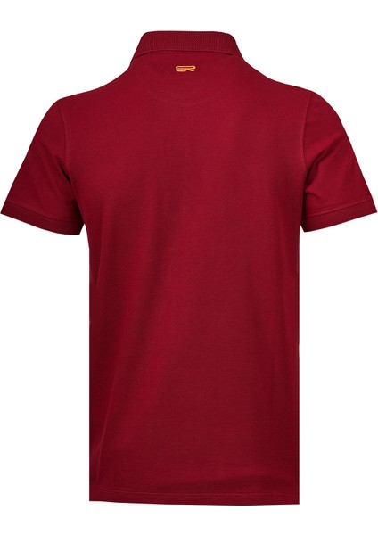 Erkek Polo Yaka T-Shirt modelleri