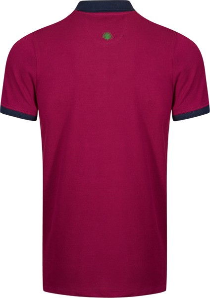 Erkek Polo Yaka T-Shirt modelleri