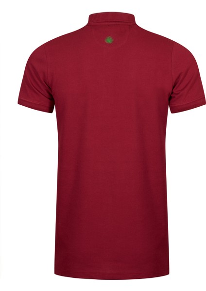 Erkek Polo Yaka T-Shirt modelleri