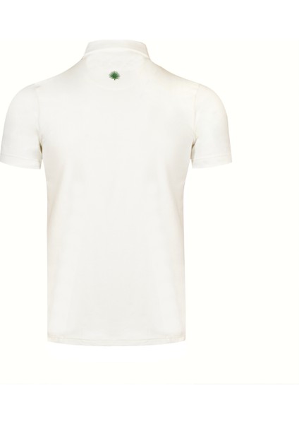 Erkek Polo Yaka T-Shirt modelleri
