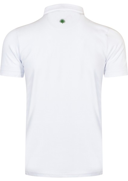 Erkek Polo Yaka T-Shirt modelleri