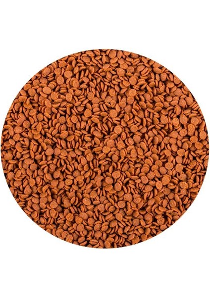 Soft Line Africa Carnivore Size M 100ML 52GR fiyatları