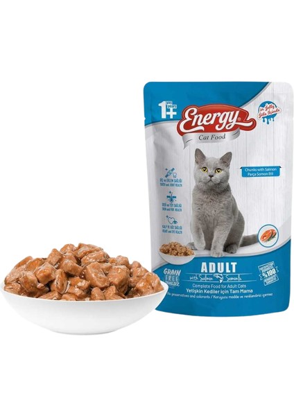 Somonlu Islak Kedi Maması 85 gr - 24'lü