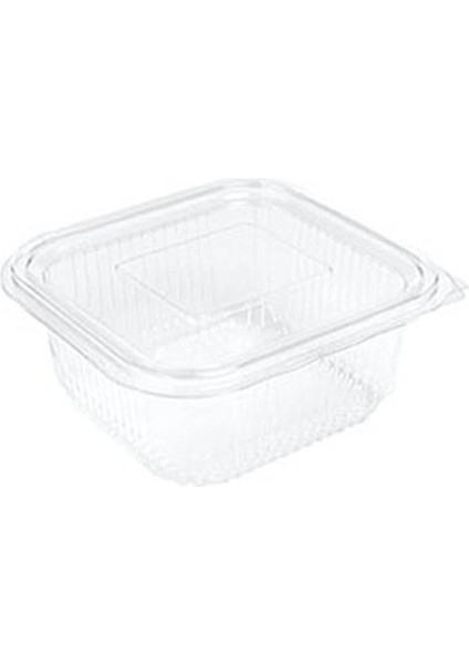 Sızdırmaz Kendinden Kapaklı Plastik Kap 500 gr (100'lü)