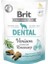 Care Dental Geyik Etli Tahılsız Köpek Ödülü 150 Gram 1