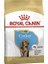 Cocker Puppy Irka Özel Yavru Köpek Maması 3 kg 1