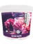 Caledonia Reef Salt 6,5 kg Deniz Tuzu 1