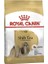 Shih Tzu Yetişkin Köpek Maması 1,5 kg 1