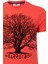 Erkek Sıfır Yaka T-Shirt 2