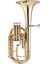 John Packer JP172L Lacquer Tenor Horn Eb 1