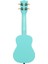 Ukadelic Soprano Ukulele (Frostbite) 2