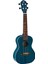 RUOCEAN Concert Ukulele (Ocean Blue) 1