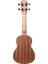 PS-SKT-10-21H/RB Soprano Ukulele (Rabbit) 3