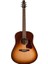 Entourage Akustik Gitar (Autumn Burst) 1