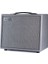 Silverline Standard 20 Watt 10 Inch Combo Amfi (Silver) 2