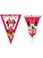 Minnie Plastik Bayrak Set 2.3m 1