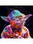 Starwars Yoda Sayılarla Boyama Seti 40 x 50 cm 1