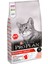 Adult Salmon Rice Yetişkin Kedi Maması 3 kg 1