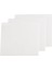 Screen Plate Yedek Kask Camı 1'li 1