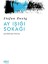 Ay Işığı Sokağı - Stefan Zweig 1