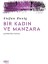 Bir Kadın ve Manzara - Stefan Zweig 1