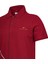 Erkek Polo Yaka T-Shirt 2