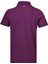 Erkek Polo Yaka T-Shirt 2