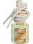Fruit Blossom Dekoratif Araç Parfümü 8 ml 1